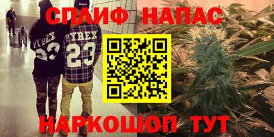 стафф Братск