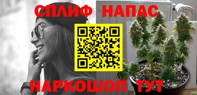 гидра Боровичи