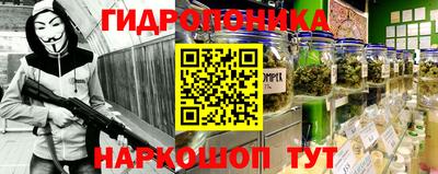 гидра Боровичи