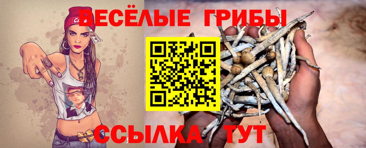 Галлюциногенные грибы Magic Shrooms Чита
